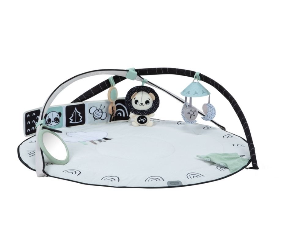 https://www.vanastenbabysuperstore.nl/media/catalog/product/0/3/0312400130_2_speelkleed_tiny_love_gymini_classic_black_white.jpg