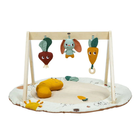 https://www.vanastenbabysuperstore.nl/media/catalog/product/0/3/0312400140_1_luxe_gymini_tiny_love_garden_of_adventures.jpg