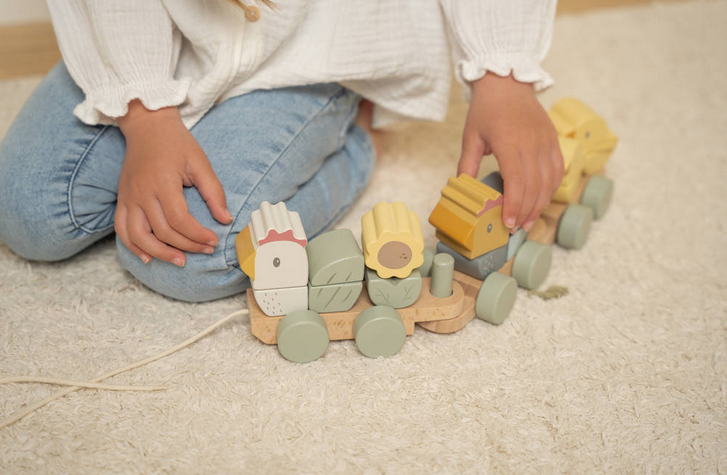 https://www.vanastenbabysuperstore.nl/media/catalog/product/0/5/0592403921_2_blokkentrein_little_dutch_little_farm_hout_kip.png