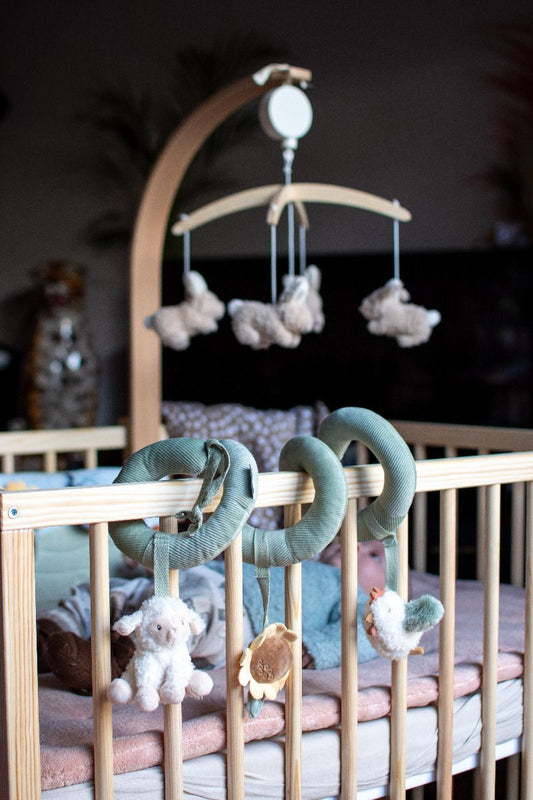 https://www.vanastenbabysuperstore.nl/media/catalog/product/0/5/0592403942_1_activiteitenspiraal_little_dutch_little_farm.jpeg