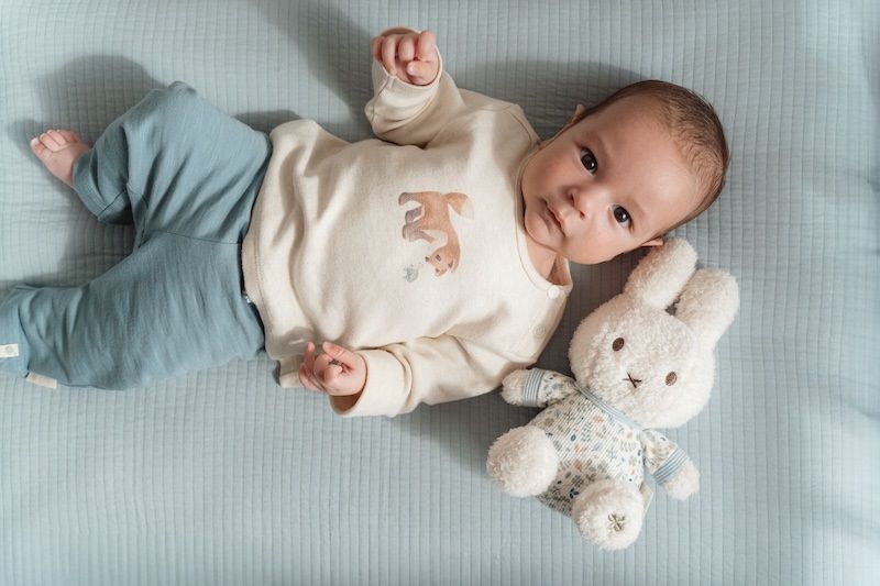 https://www.vanastenbabysuperstore.nl/media/catalog/product/0/5/0592404127_2_knuffel_nijntje_lucky_leaves_20cm.jpg