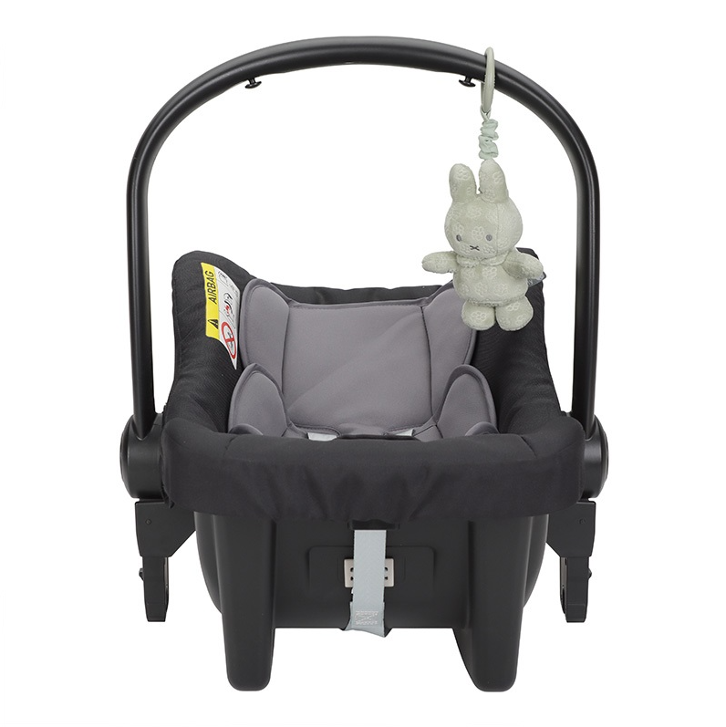 https://www.vanastenbabysuperstore.nl/media/catalog/product/0/5/0592420035_2_trilfiguur_nijntje_green_flower.png