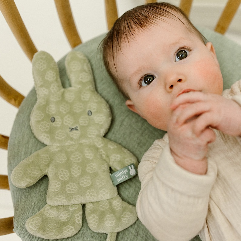 https://www.vanastenbabysuperstore.nl/media/catalog/product/0/5/0592420037_2_speendoekje_nijntje_green_flower.png
