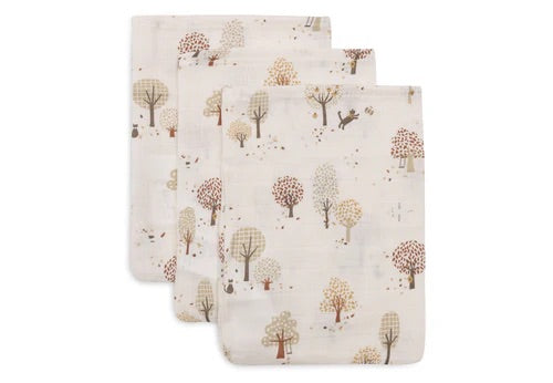 https://www.vanastenbabysuperstore.nl/media/catalog/product/0/6/0612040025_1_Washandjes_Jollein_Hydrofiel_Tiny_Park_3_pack.jpeg