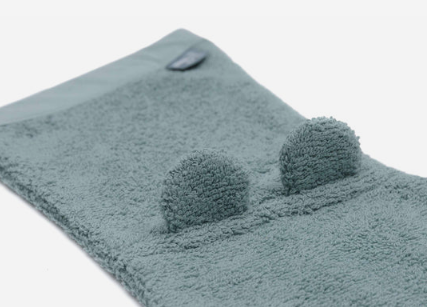 https://www.vanastenbabysuperstore.nl/media/catalog/product/0/6/0612110608_2_washand_jollein_badstof_ears_sea_green.png