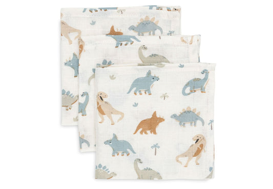 https://www.vanastenbabysuperstore.nl/media/catalog/product/0/6/0612110648_1_monddoekjes_jollein_hydrofiel_roarsome_3pack.jpg