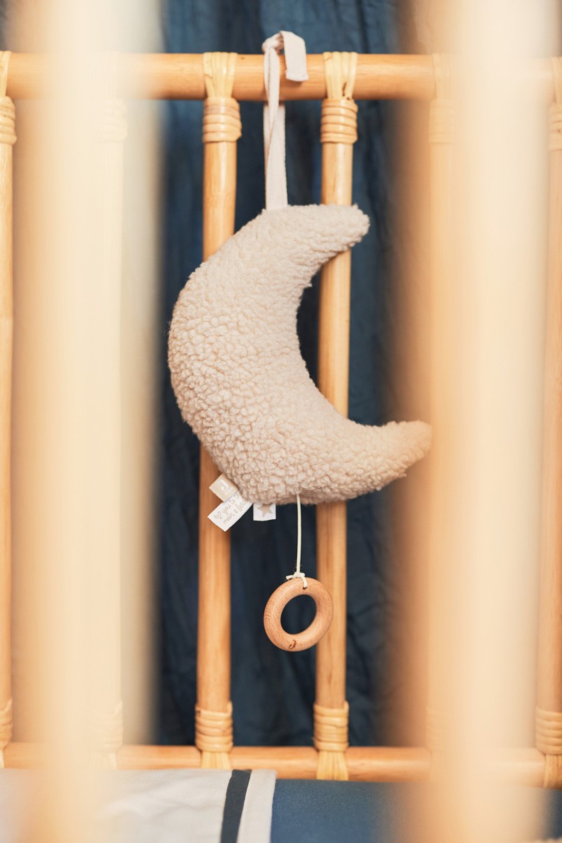 https://www.vanastenbabysuperstore.nl/media/catalog/product/0/6/0612400094_2_muziekhanger_jollein_moon_nougat.jpg