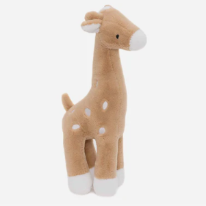 https://www.vanastenbabysuperstore.nl/media/catalog/product/0/6/0612400170_1_knuffel_jollein_giraffe_biscuit.png