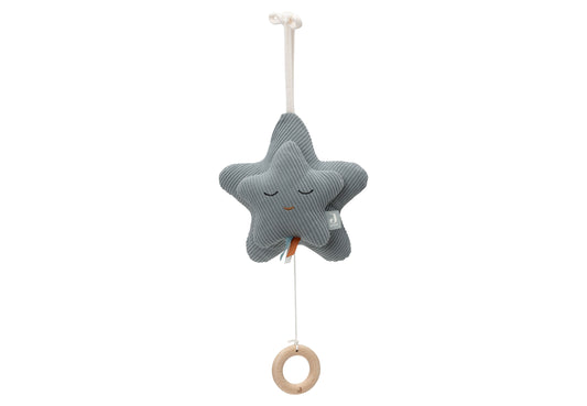 https://www.vanastenbabysuperstore.nl/media/catalog/product/0/6/0612420005_1_Muziekhanger_Jollein_Star_Sea_Green.jpg