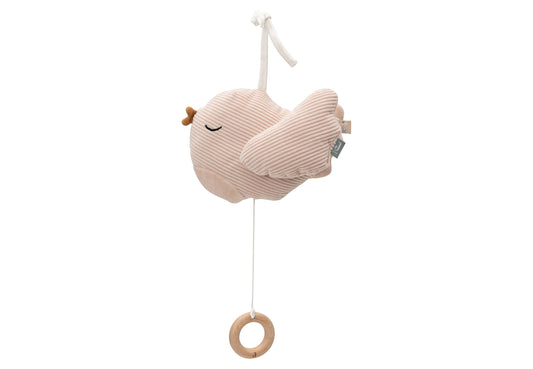 https://www.vanastenbabysuperstore.nl/media/catalog/product/0/6/0612420006_1_Muziekhanger_Jollein_Lovely_Birds.jpg
