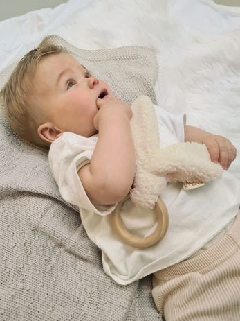 https://www.vanastenbabysuperstore.nl/media/catalog/product/0/9/0992110001_2_bijtring_bambam_hout_ears_eco.jpg