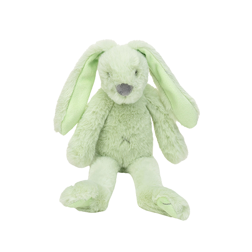 https://www.vanastenbabysuperstore.nl/media/catalog/product/0/9/0992420016_1_knuffel_happy_horse_rabbit_richie_pistachio_28cm.png