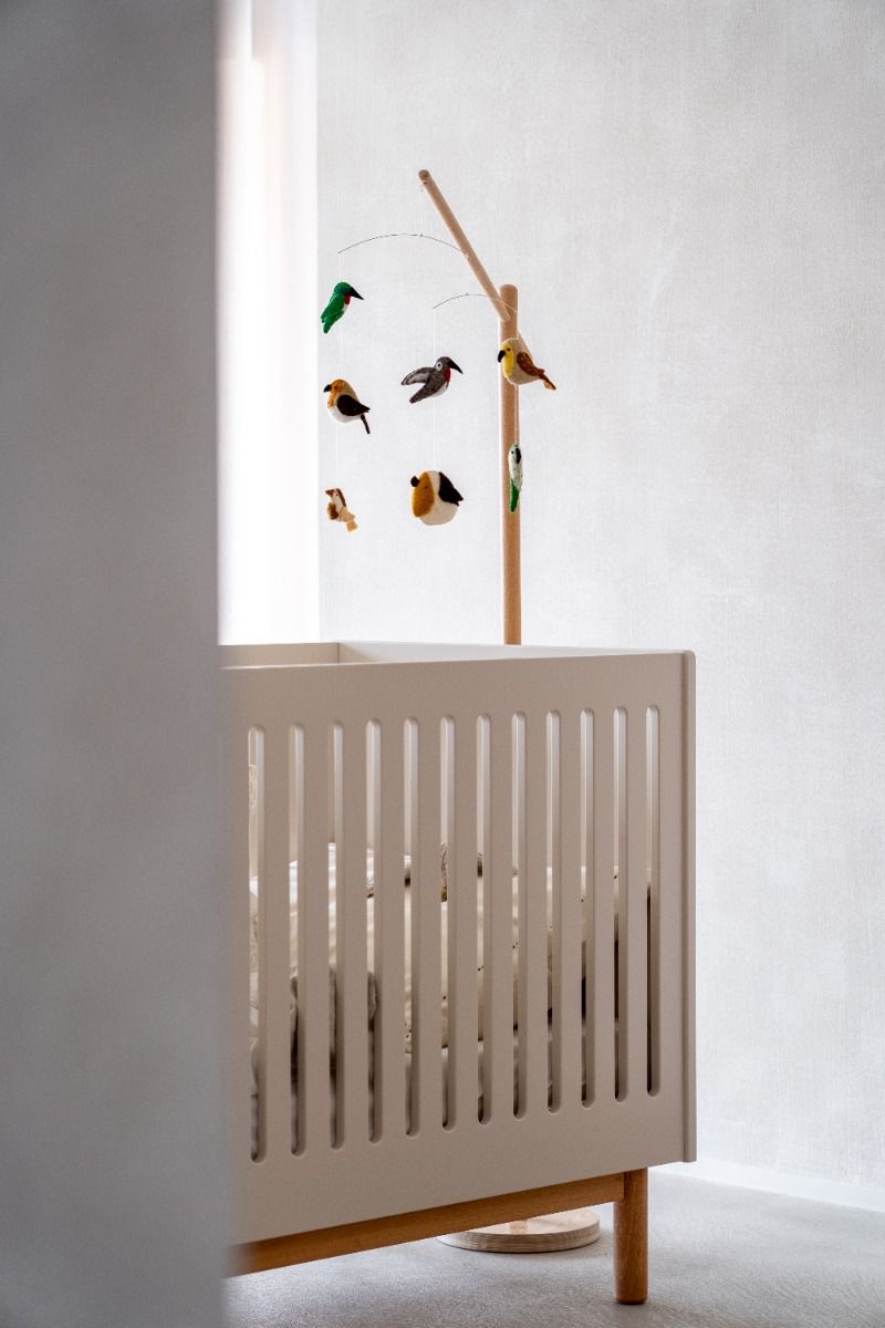 https://www.vanastenbabysuperstore.nl/media/catalog/product/1/0/1002400079_1_mobiel_quax_vogels.jpg