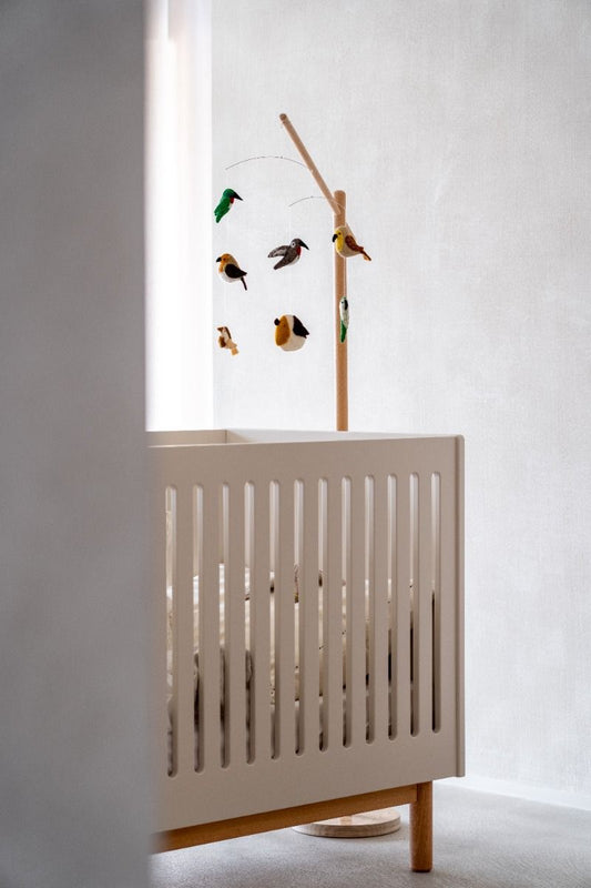 https://www.vanastenbabysuperstore.nl/media/catalog/product/1/0/1002400079_1_mobiel_quax_vogels.jpg