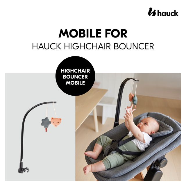 https://www.vanastenbabysuperstore.nl/media/catalog/product/1/1/1121780001_2_mobiel_hauck_wipstoel_bounce_bear.jpg