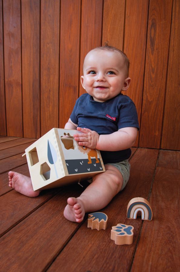 https://www.vanastenbabysuperstore.nl/media/catalog/product/1/3/1302400703_2_houten_vormenstoof_tryco_pawprint.jpg