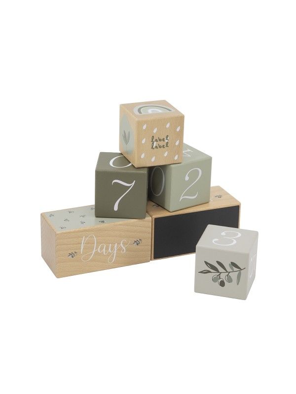 https://www.vanastenbabysuperstore.nl/media/catalog/product/1/3/1302430002_1_blokken_labellabel_mijlpaal_olive_green.jpg