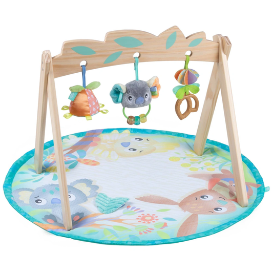 https://www.vanastenbabysuperstore.nl/media/catalog/product/1/3/1302490005_1_babygym_en_speelkleed_playgro_fauna_friends.png