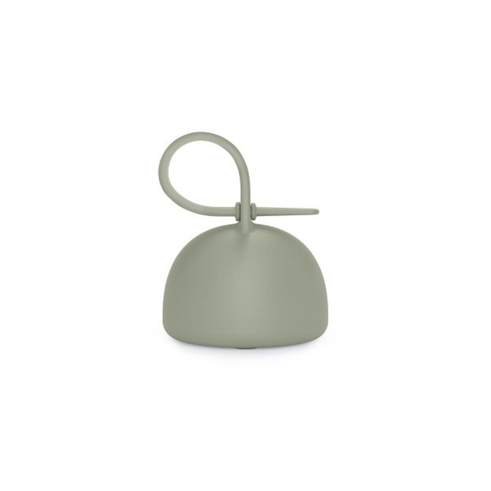 https://www.vanastenbabysuperstore.nl/media/catalog/product/1/3/1302800392_1_speenhouder_suavinex_essence_green.png
