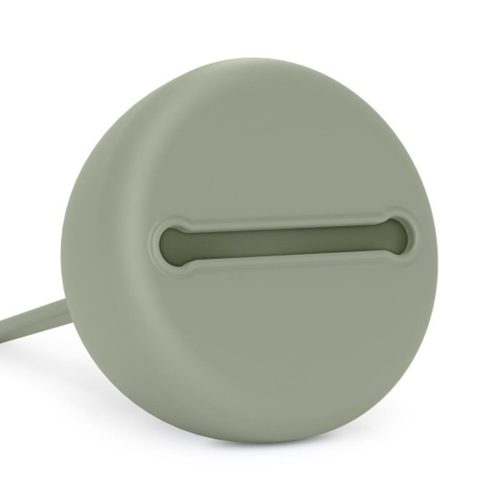 https://www.vanastenbabysuperstore.nl/media/catalog/product/1/3/1302800392_2_speenhouder_suavinex_essence_green.png