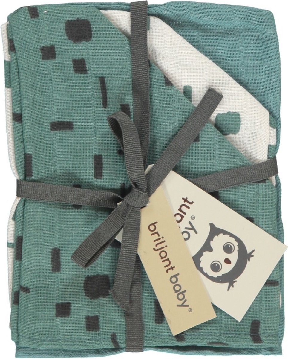 https://www.vanastenbabysuperstore.nl/media/catalog/product/1/8/1852110005_1_washandjes_briljant_baby_hydrofiel_art_artic_3st.jpg