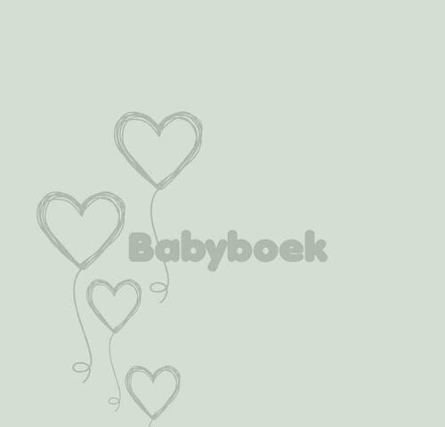 https://www.vanastenbabysuperstore.nl/media/catalog/product/3/7/3742900017_1_babyboek_jep_jade_groen.jpg
