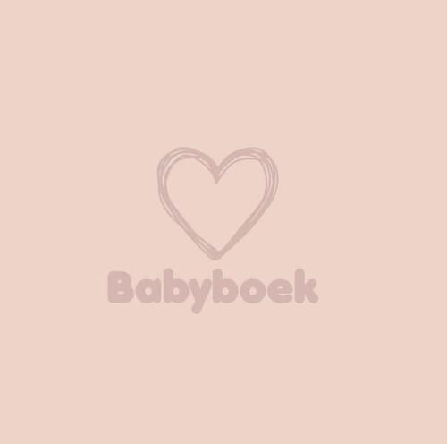 https://www.vanastenbabysuperstore.nl/media/catalog/product/3/7/3742900018_1_babyboek_jep_smoke_rose.jpg
