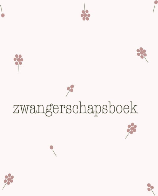 https://www.vanastenbabysuperstore.nl/media/catalog/product/3/7/3742900023_1_zwangerschapsboek_jep_smoke_roze.jpg