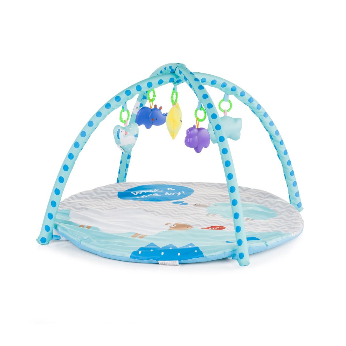 https://www.vanastenbabysuperstore.nl/media/catalog/product/3/8/3800931031473_1_speelkleed_chipolino_sheep.jpg