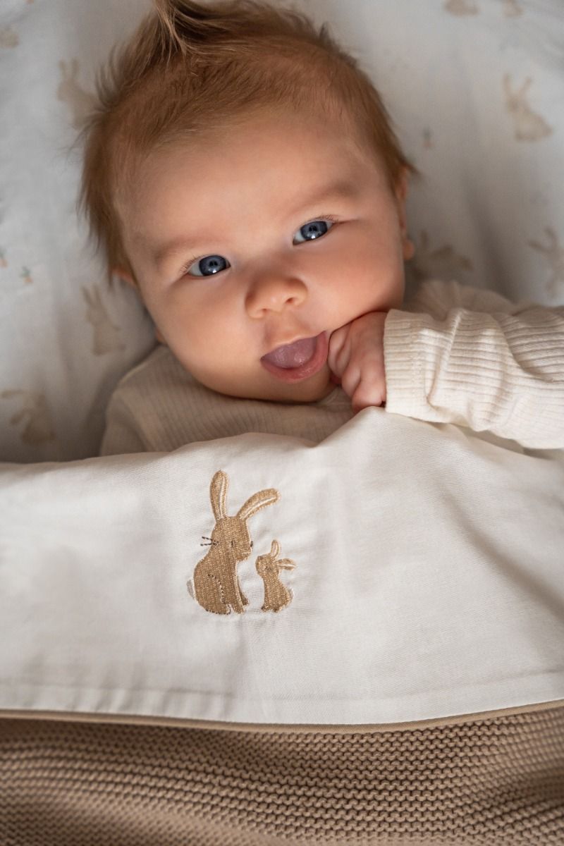 https://www.vanastenbabysuperstore.nl/media/catalog/product/3/8/3891900717_1_laken_ledikant_little_dutch_geborduurd_baby_bunny.jpg
