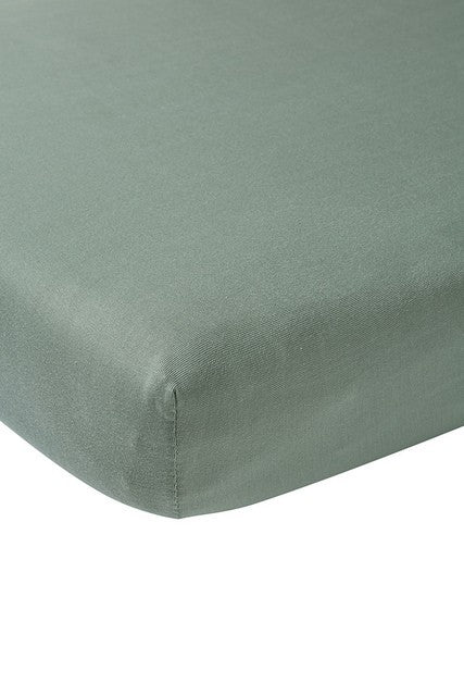 https://www.vanastenbabysuperstore.nl/media/catalog/product/4/5/4591800040_1_meyco_jersey_hoeslaken_2pack_60x120_stone_green.jpg