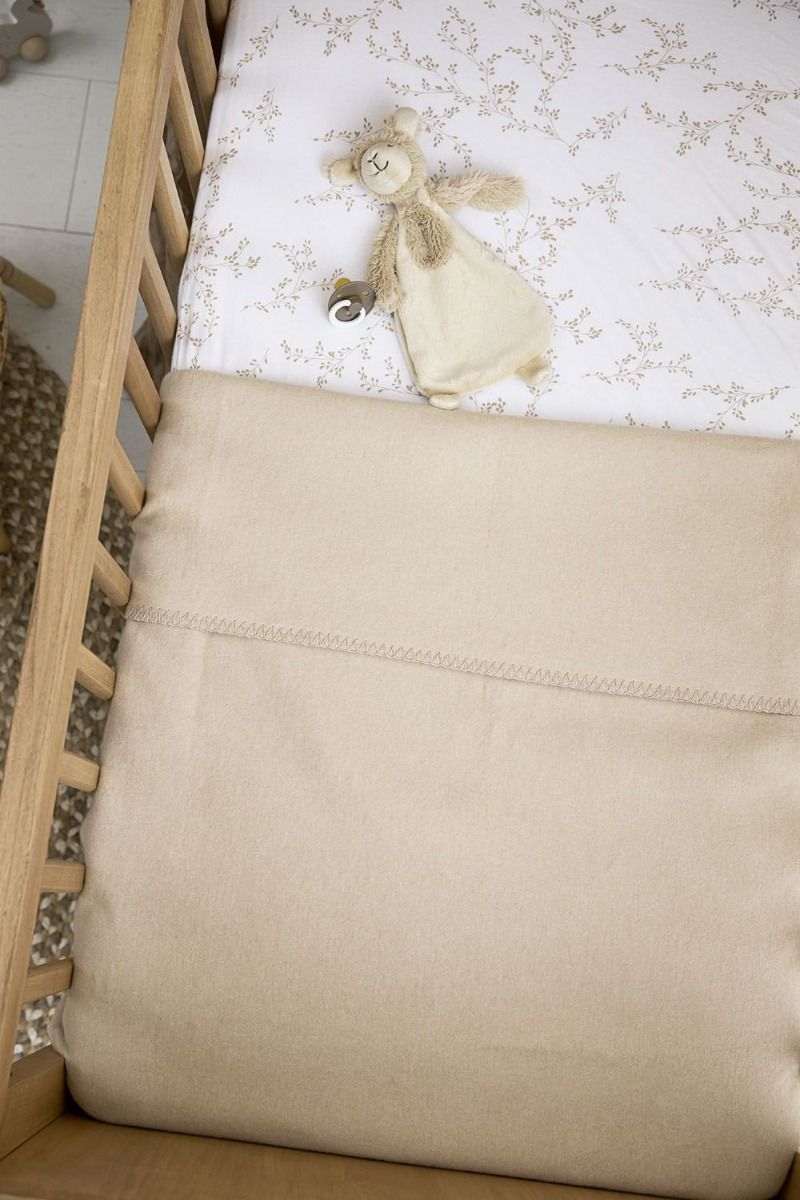 https://www.vanastenbabysuperstore.nl/media/catalog/product/4/5/4591800222_2_hoeslaken_meyco_cosleeper_branches_sand_50x90.jpg