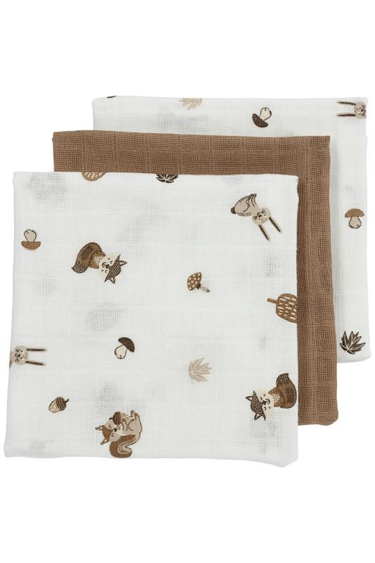 https://www.vanastenbabysuperstore.nl/media/catalog/product/4/5/4592110332_1_luiers_meyco_forest_animals_toffee_3pack.jpg