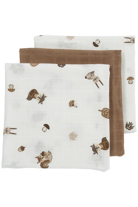 https://www.vanastenbabysuperstore.nl/media/catalog/product/4/5/4592110332_1_luiers_meyco_forest_animals_toffee_3pack.jpg