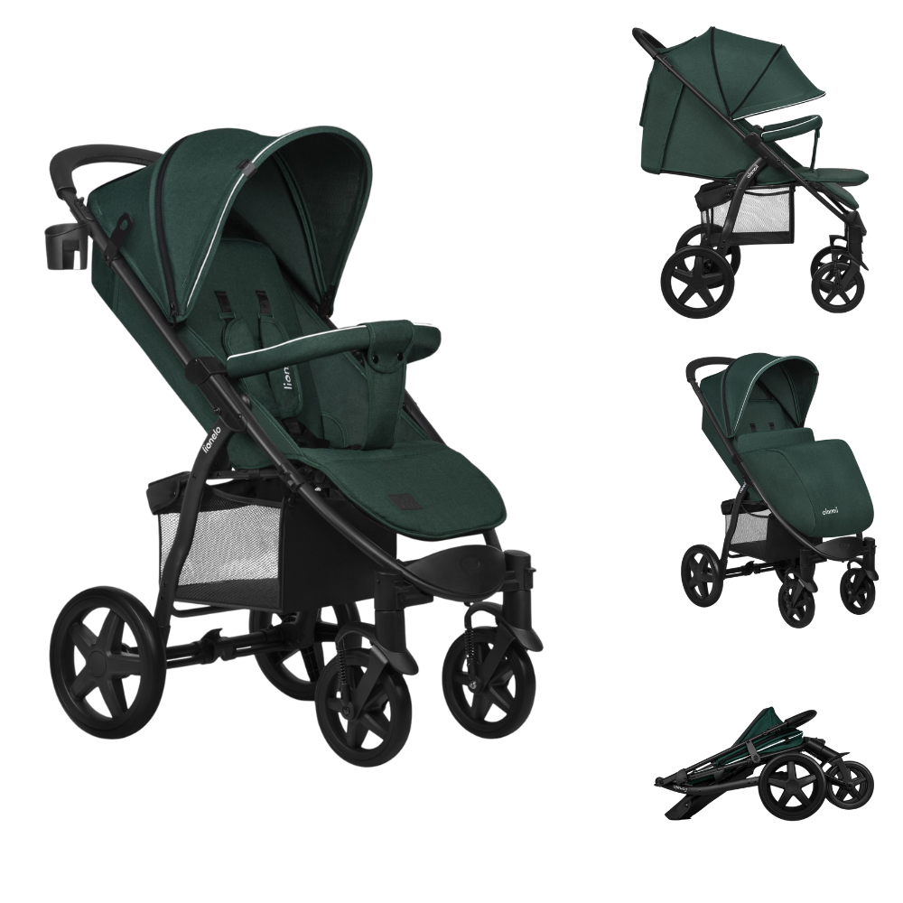 https://www.vanastenbabysuperstore.nl/media/catalog/product/5/9/5903771702805_1_buggy_lionelo_annet_plus_green_forest.png
