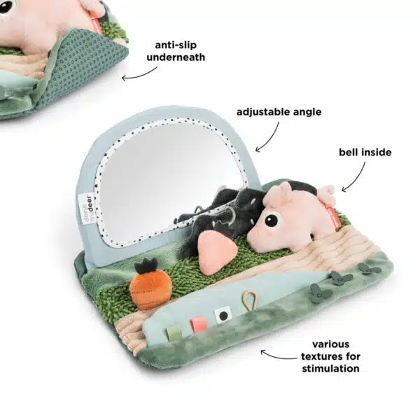 https://www.vanastenbabysuperstore.nl/media/catalog/product/7/3/7332420010_2_activity_mirror_done_by_deer_tiny_farm_colour_mix.png