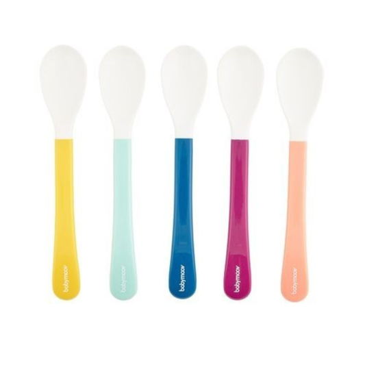 https://www.vanastenbabysuperstore.nl/media/catalog/product/7/4/7482800006_1_lepels_babymoov_set_2e_leeftijd_5st.png