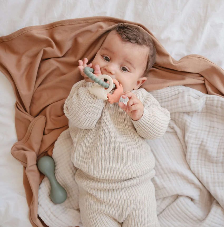 https://www.vanastenbabysuperstore.nl/media/catalog/product/8/2/8292110058_2_bijtring_mushie_dino.png