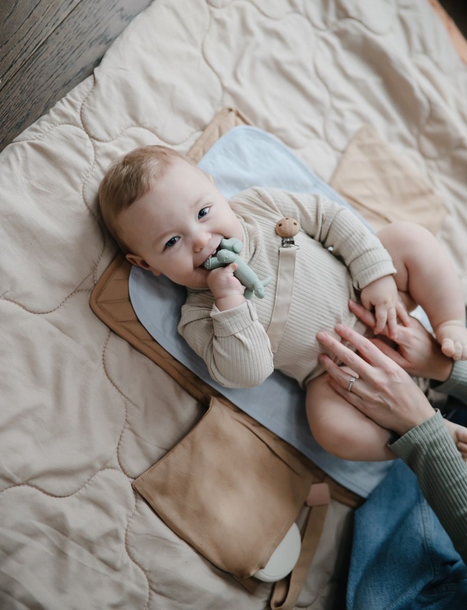 https://www.vanastenbabysuperstore.nl/media/catalog/product/8/2/8292400031_2_bijtspeeltje_mushie_dog.jpg