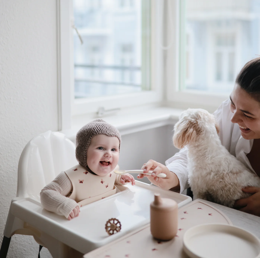 https://www.vanastenbabysuperstore.nl/media/catalog/product/8/2/8292800209_2_lepels_mushie_siliconen_ivory_2st.png