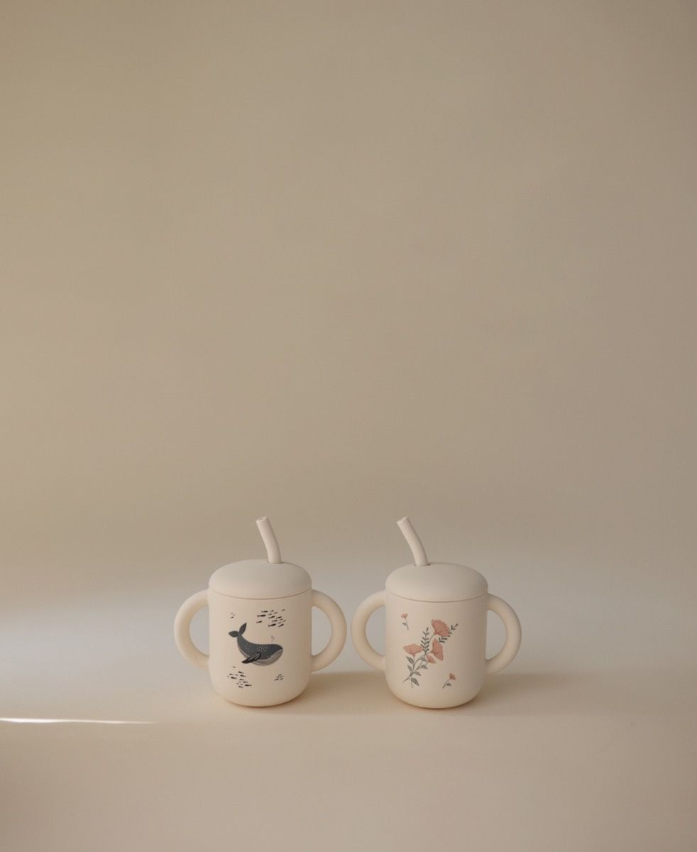 https://www.vanastenbabysuperstore.nl/media/catalog/product/8/2/8292830004_2_training_cup_met_rietje_mushie_whales.jpg