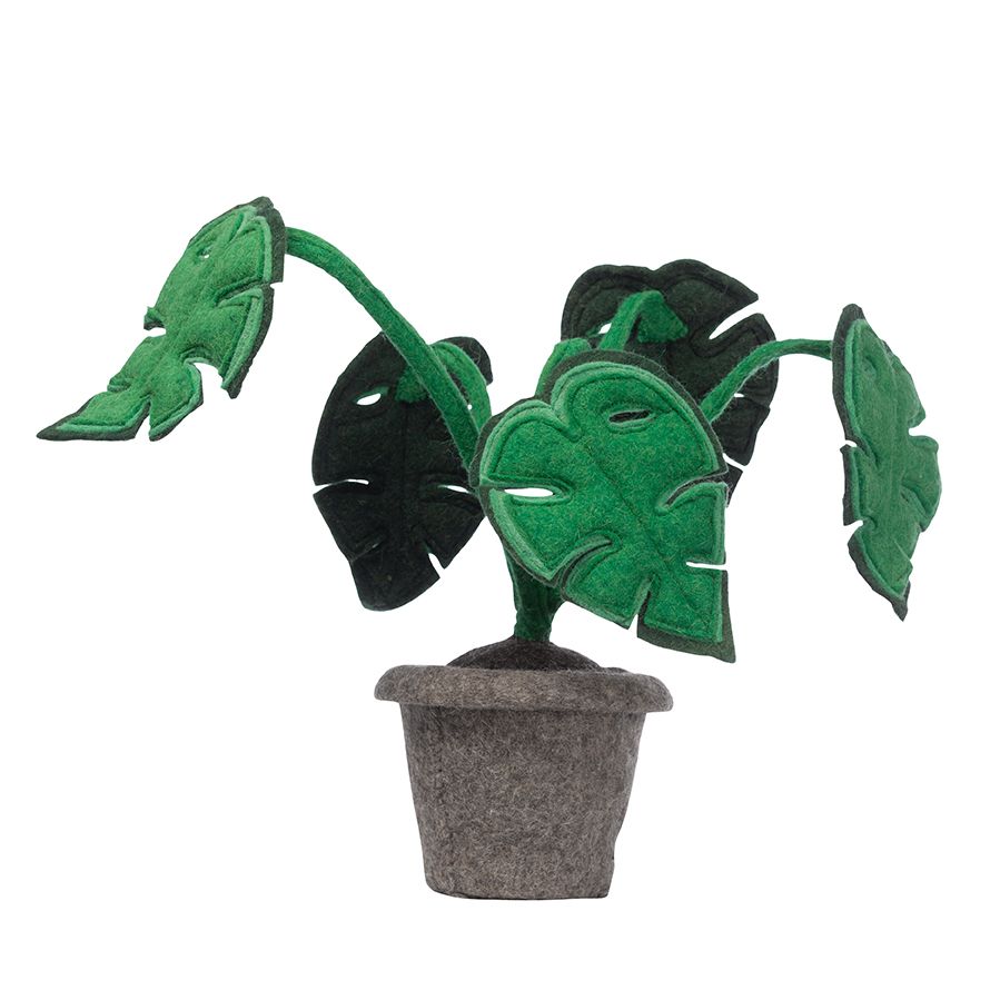 https://www.vanastenbabysuperstore.nl/media/catalog/product/8/3/8372300505_1_plant_kidsdepot_monstera.jpg