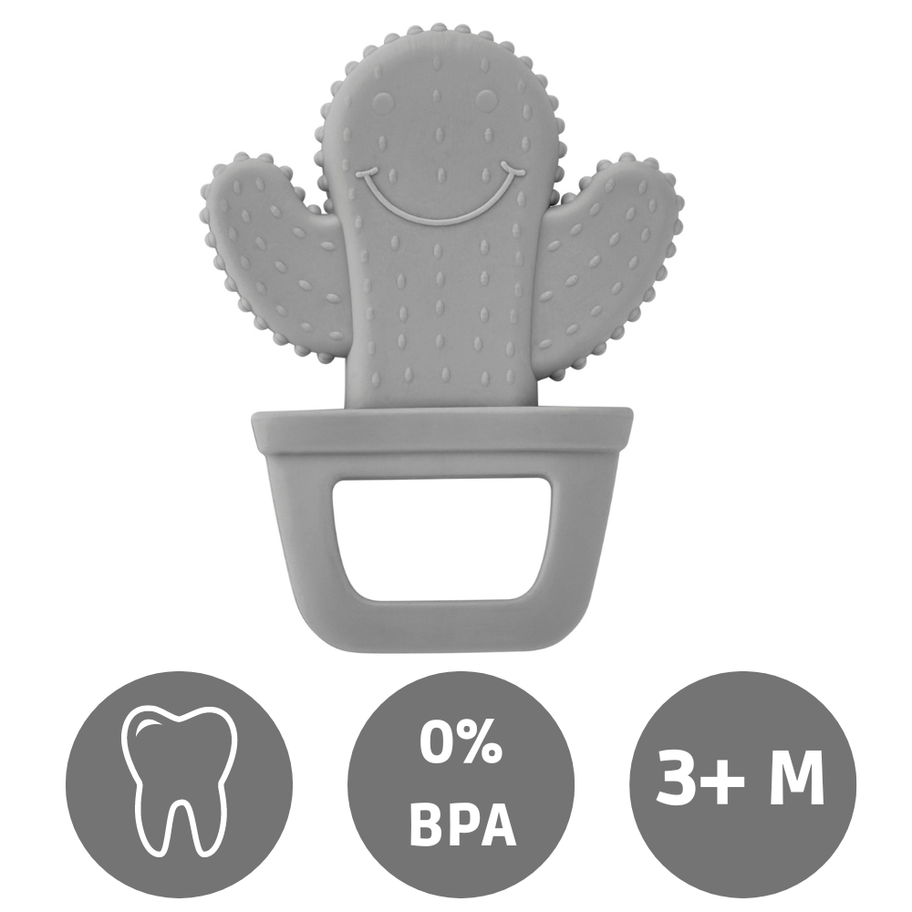 https://www.vanastenbabysuperstore.nl/media/catalog/product/8/6/8681049256287_1_bijtspeeltje_babyjem_cactus_grey.png