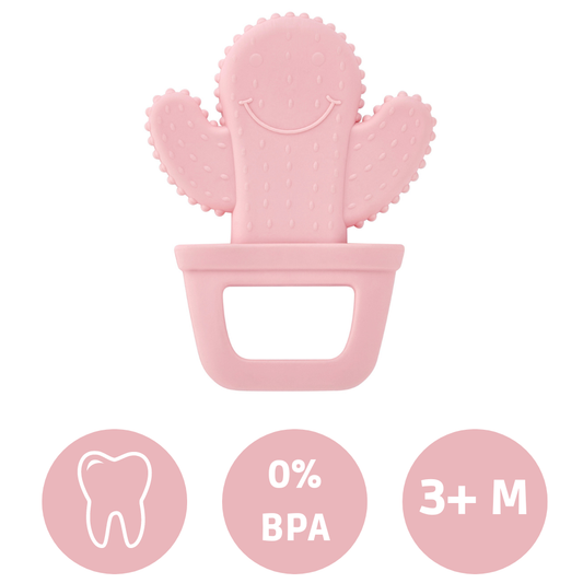 https://www.vanastenbabysuperstore.nl/media/catalog/product/8/6/8681049276285_1_bijtspeeltje_babyjem_cactus_pink.png
