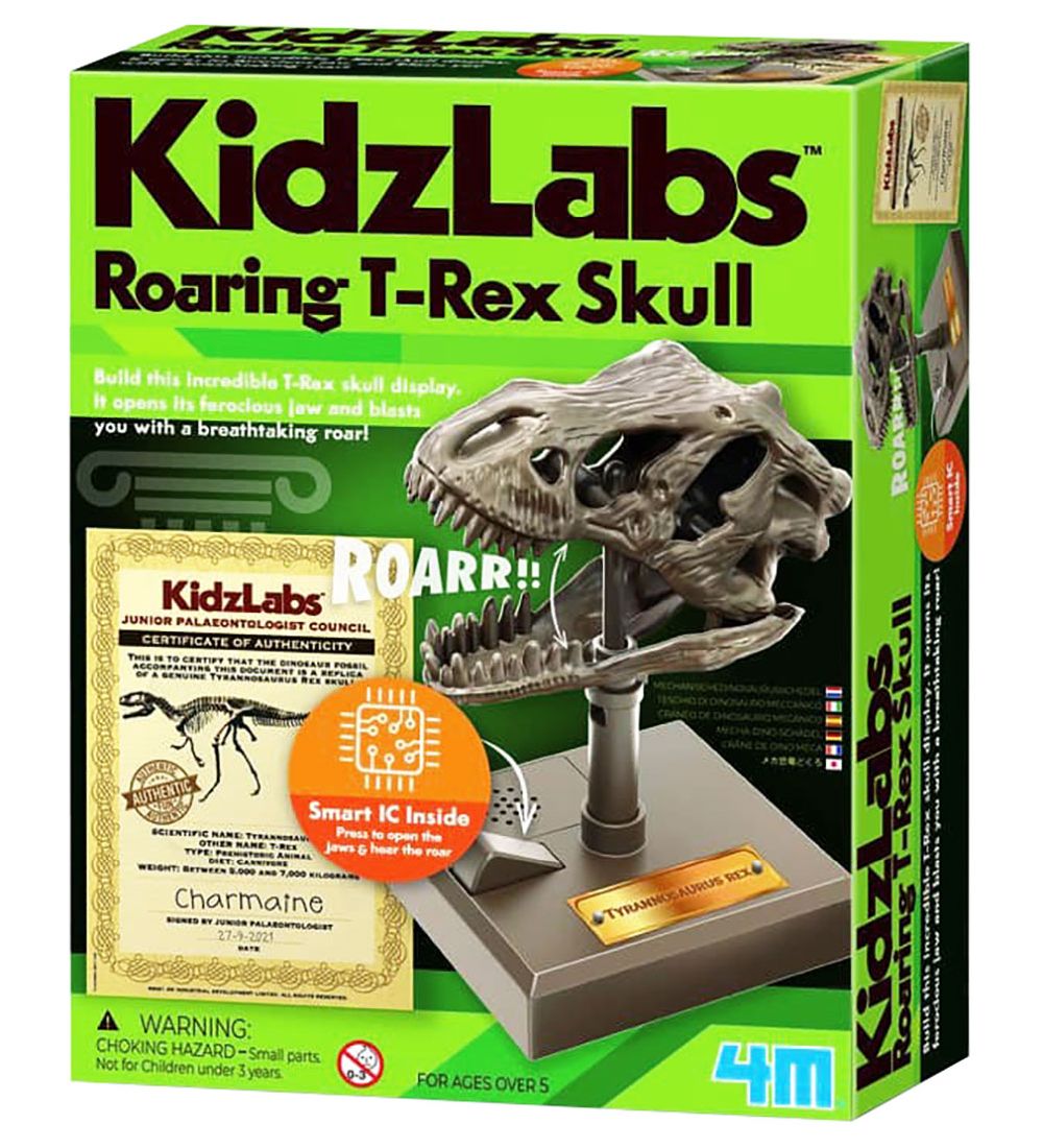 https://www.kids-world.com/images/originals/DX813.jpg