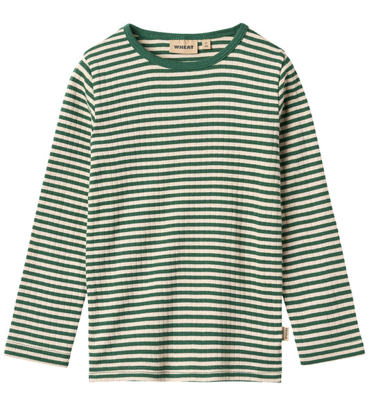 https://cdn.kids-world.com/images/products/WC052/originals/WC052.jpg?v=1758721387