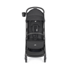 Buggy Joie Porto Raven