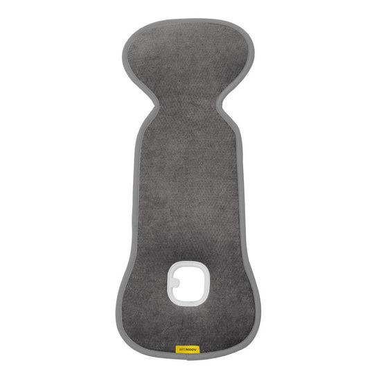 https://www.vanastenbabysuperstore.nl/media/catalog/product/0/1/0171210021_1_autostoel_inleg_aeromoov_0_antraciet.jpg