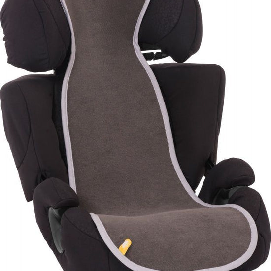 https://www.vanastenbabysuperstore.nl/media/catalog/product/0/1/0171210024_2_autostoel_inleg_aeromoov_23_antraciet.jpg