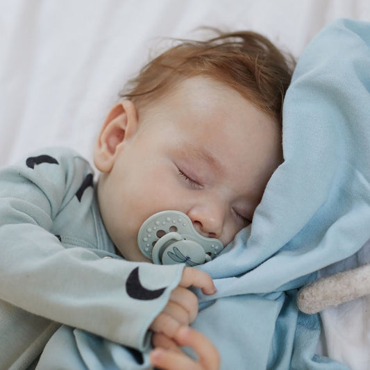 https://www.vanastenbabysuperstore.nl/media/catalog/product/0/2/0232800308_2_fopspeen_difrax_dynamic_618_mnd_botanic_bluegreen.jpg